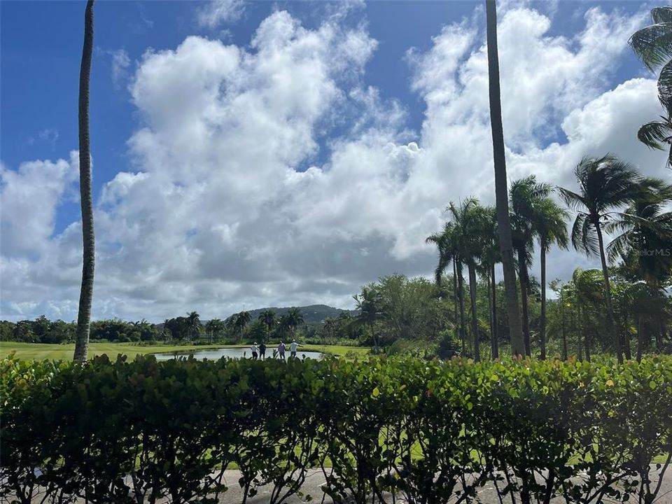 For Rent: $3,000 (2 beds, 2 baths, 1772 Square Feet)