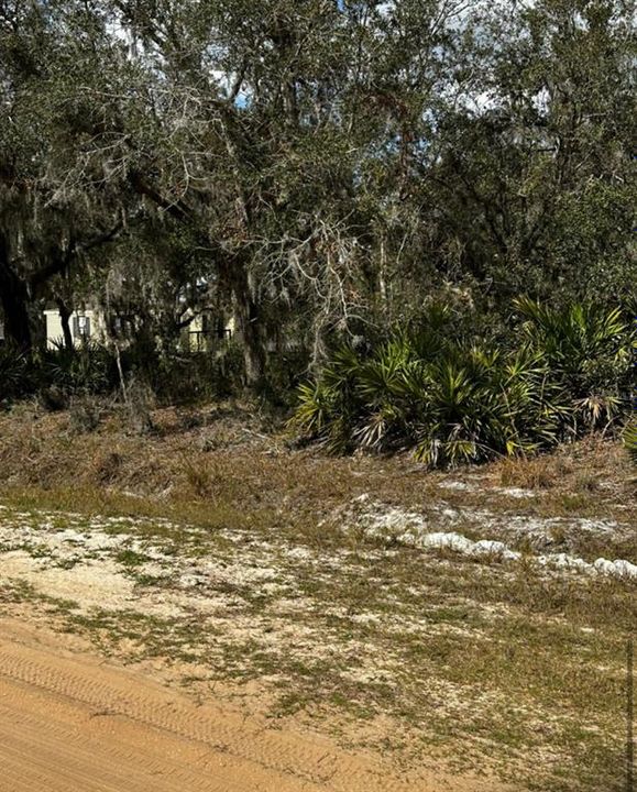 En Venta: $37,000 (1.06 acres)