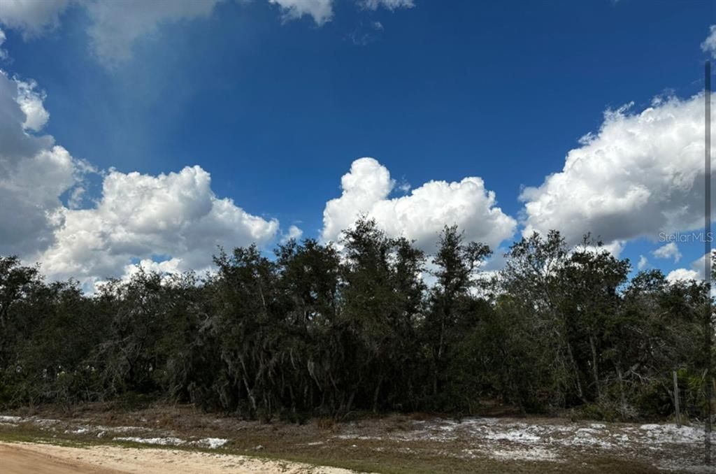 En Venta: $37,000 (1.06 acres)