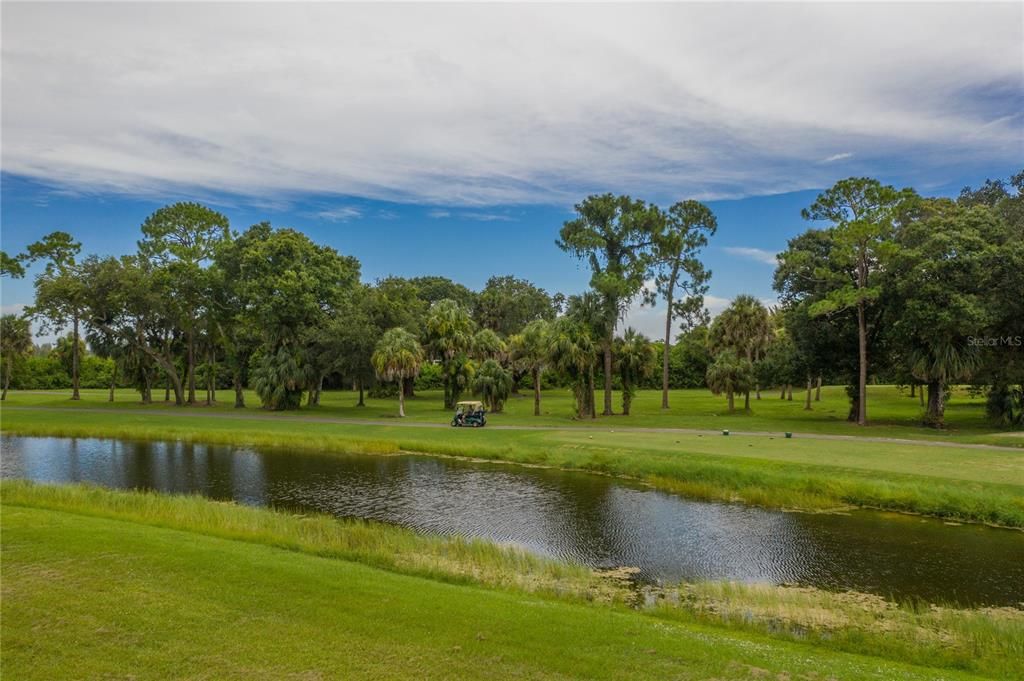 En Venta: $89,900 (0.30 acres)