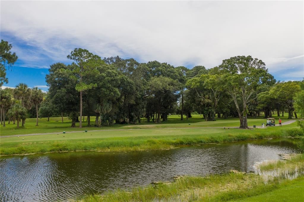 En Venta: $89,900 (0.30 acres)