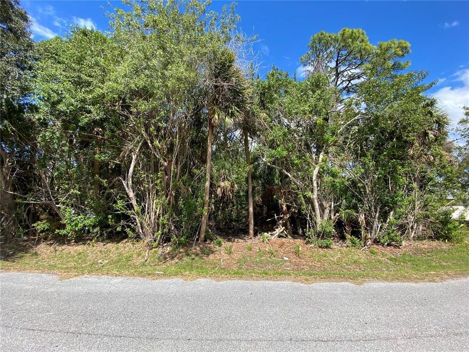 最近售出: $83,500 (0.23 acres)