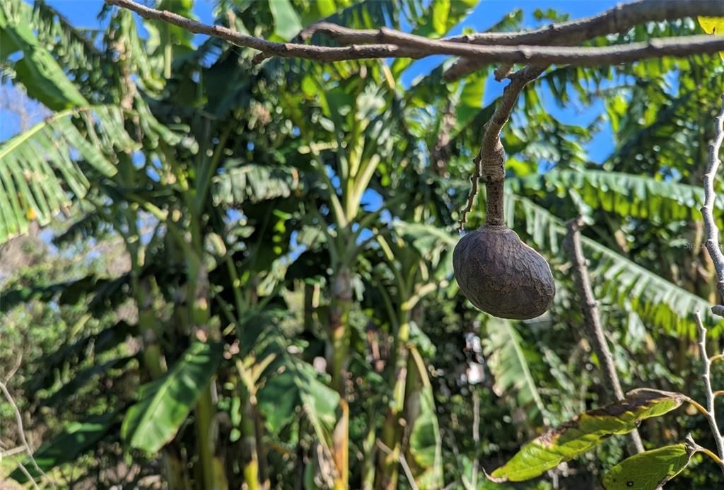 На продажу: $725,000 (14.45 acres)