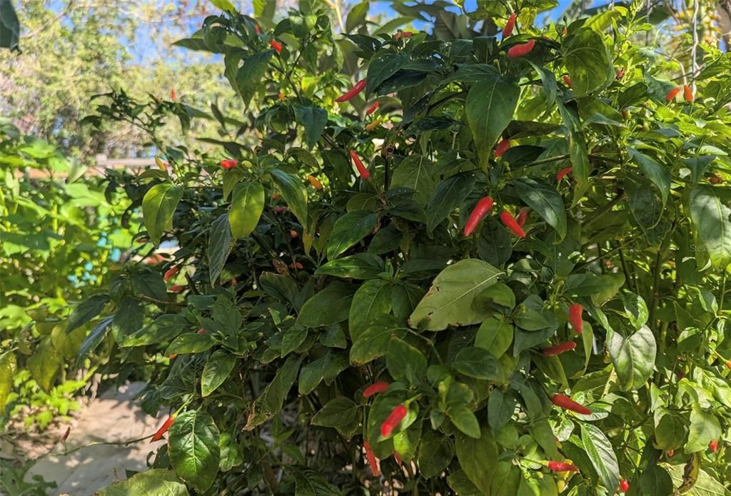 На продажу: $725,000 (14.45 acres)