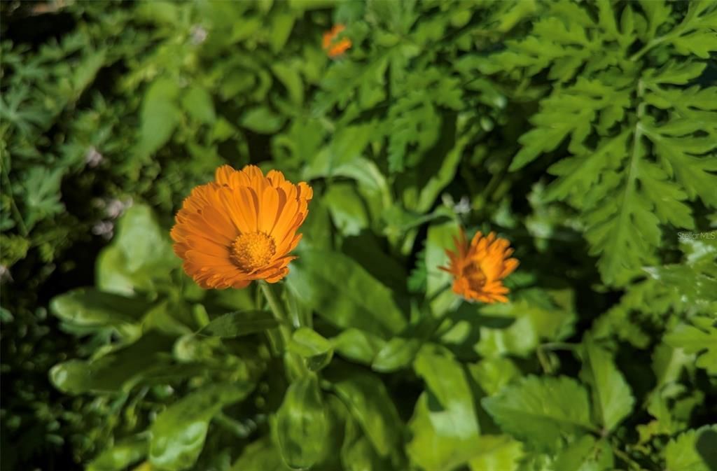 На продажу: $725,000 (14.45 acres)