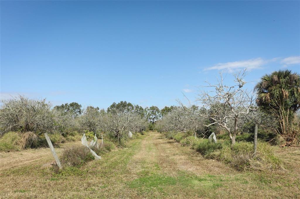 На продажу: $725,000 (14.45 acres)