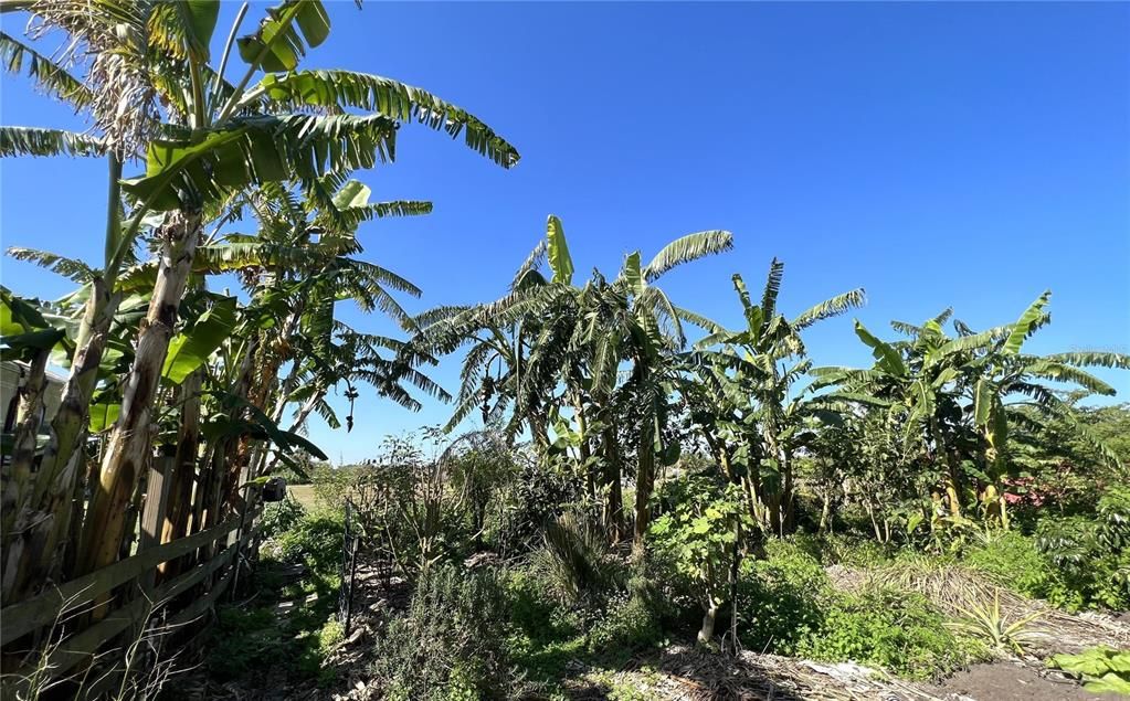 На продажу: $725,000 (14.45 acres)