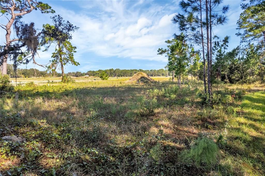 待售: $175,000 (1.00 acres)