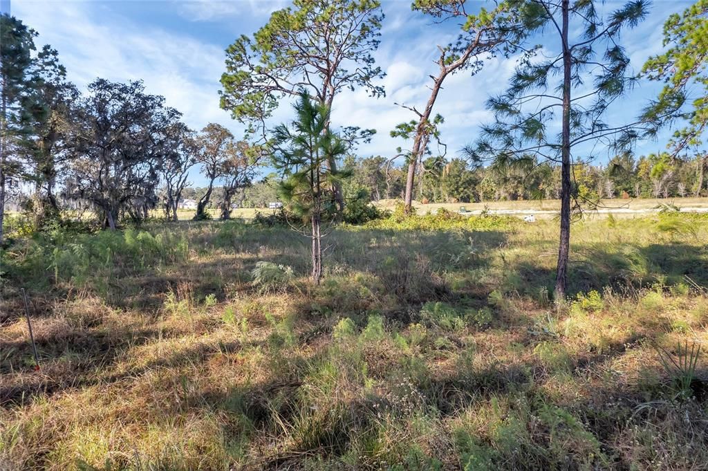 待售: $175,000 (1.00 acres)