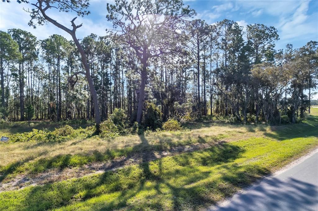 待售: $175,000 (1.00 acres)