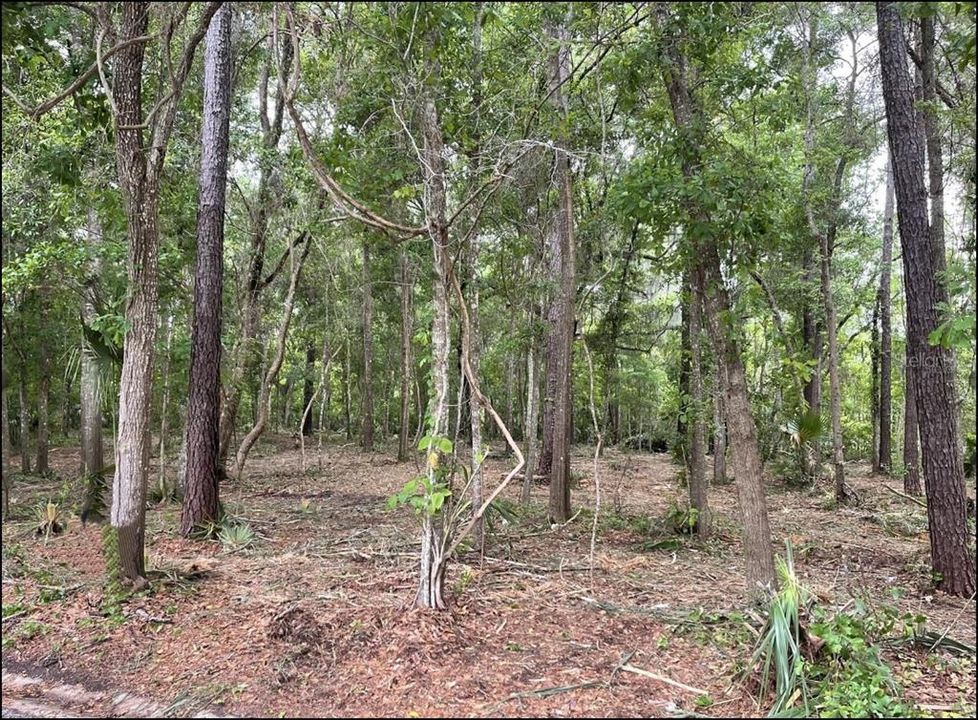 待售: $69,900 (0.59 acres)