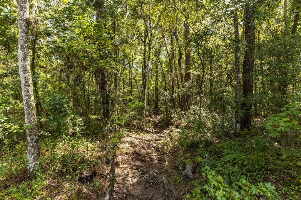 Activo con contrato: $325,000 (6.28 acres)