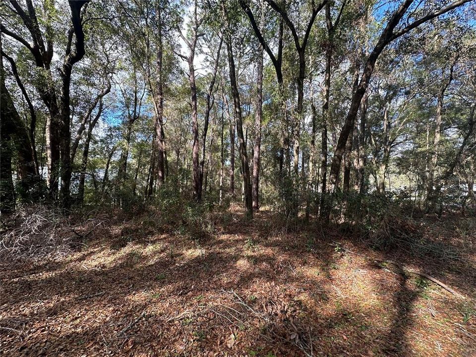 Недавно продано: $49,000 (0.48 acres)