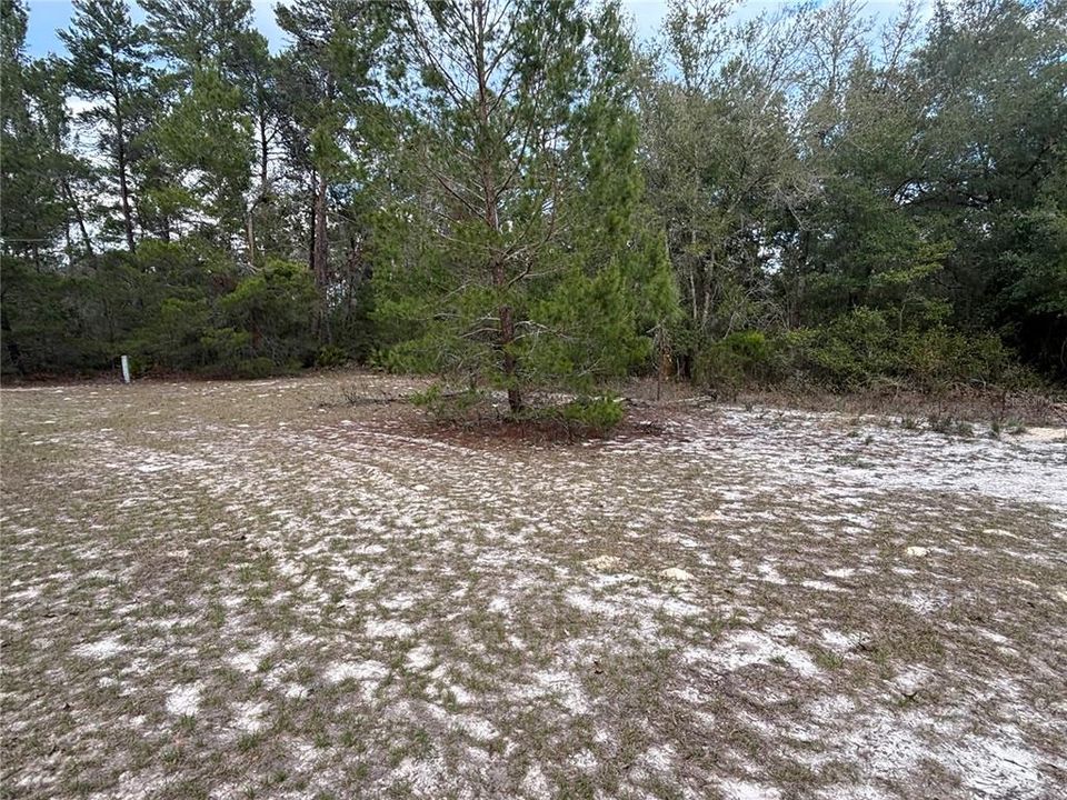 Recently Sold: $19,500 (0.77 acres)