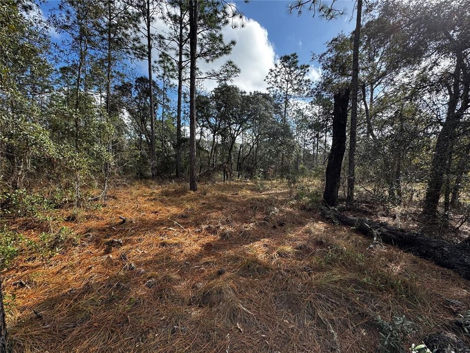 待售: $8,900 (0.25 acres)