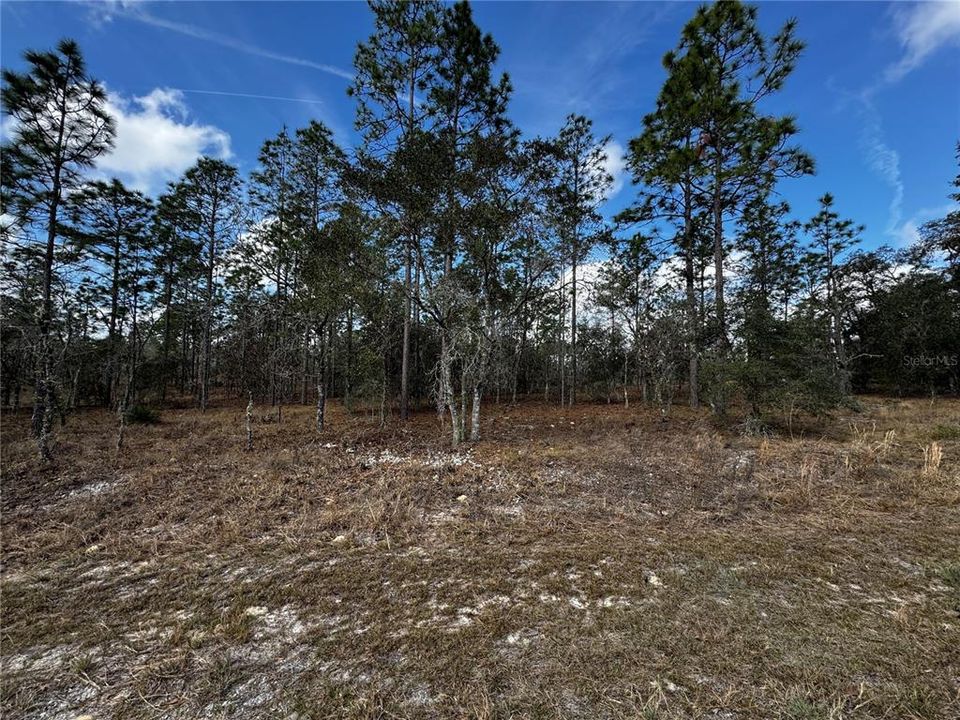 En Venta: $9,900 (0.25 acres)