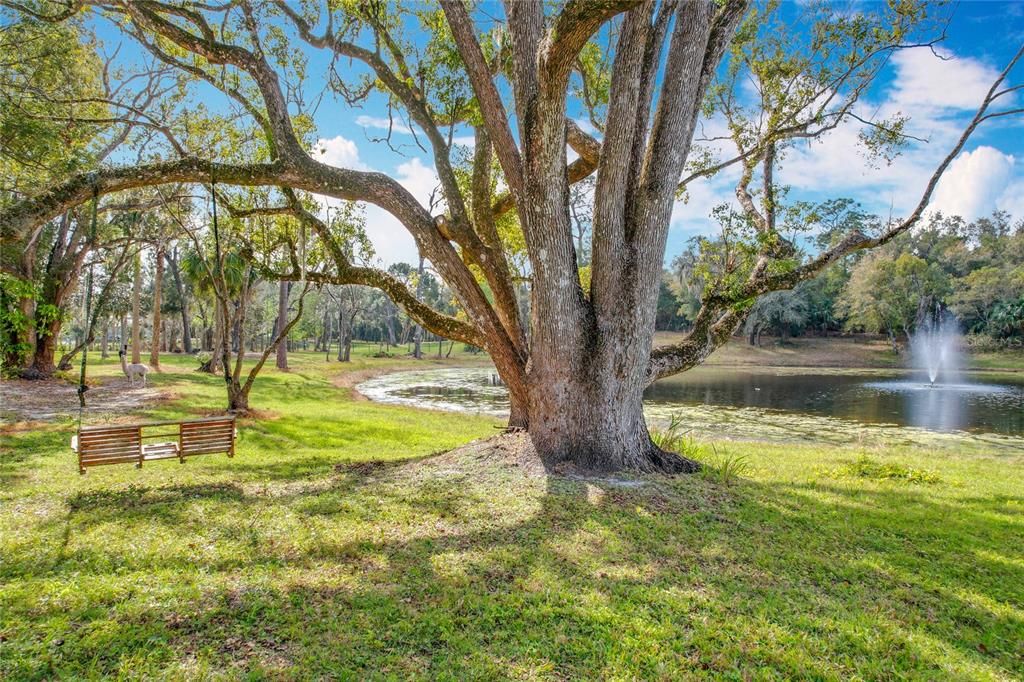 En Venta: $750,000 (6.30 acres)