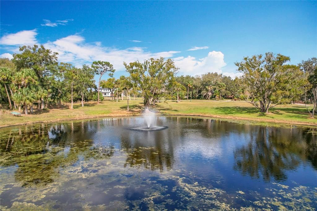 En Venta: $750,000 (6.30 acres)