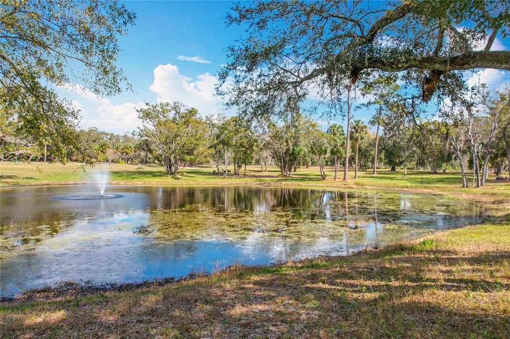 En Venta: $750,000 (6.30 acres)