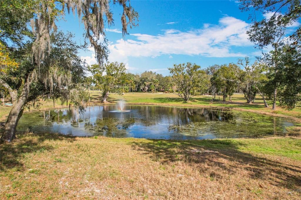 En Venta: $750,000 (6.30 acres)