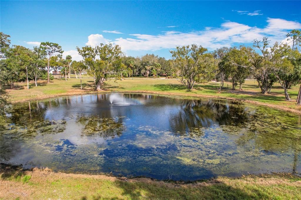 En Venta: $750,000 (6.30 acres)