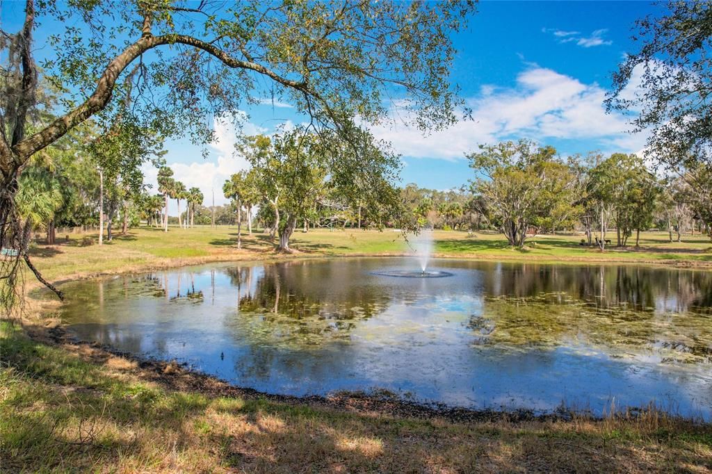 En Venta: $750,000 (6.30 acres)