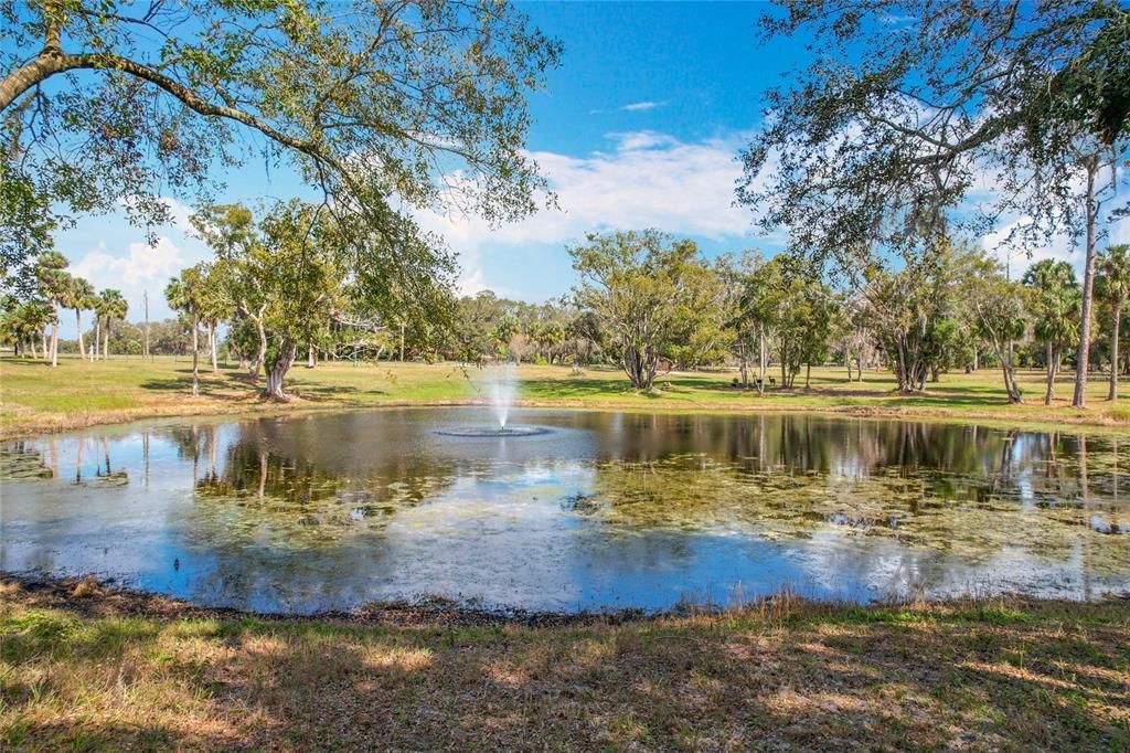 En Venta: $750,000 (6.30 acres)