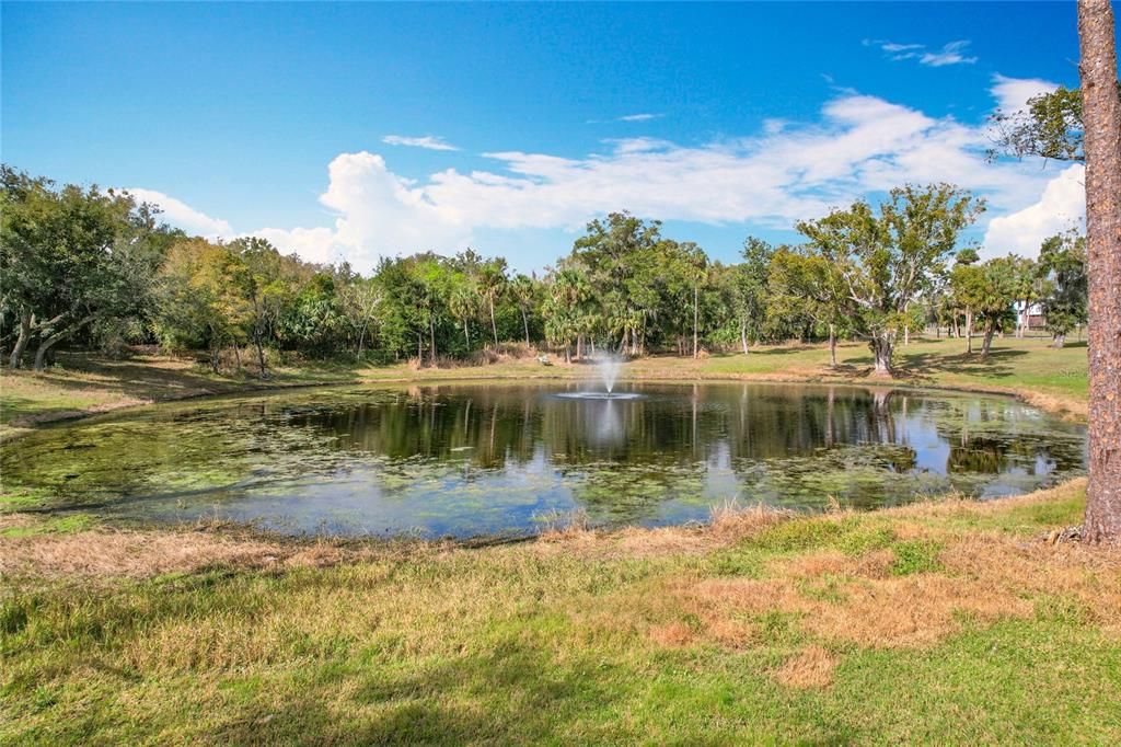 En Venta: $750,000 (6.30 acres)