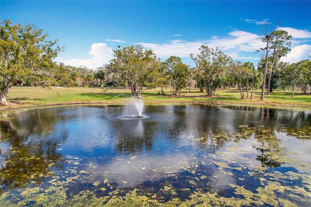 En Venta: $750,000 (6.30 acres)