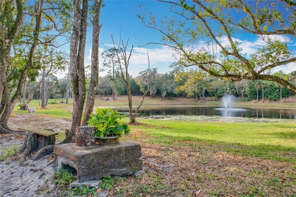 En Venta: $750,000 (6.30 acres)