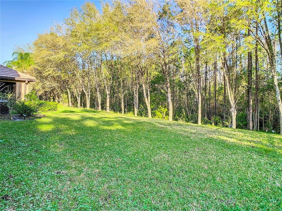 For Sale: $649,900 (4 beds, 3 baths, 3175 Square Feet)