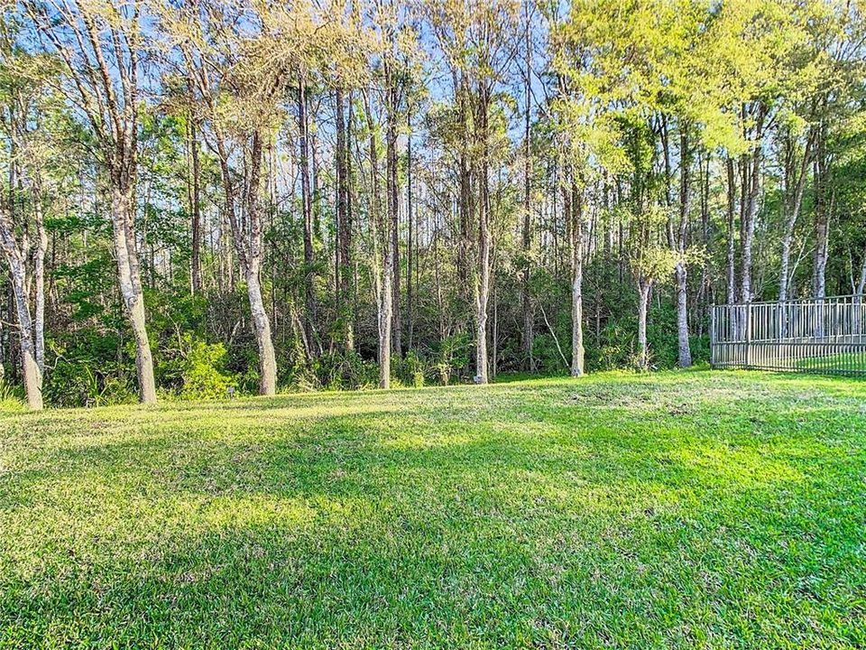 For Sale: $649,900 (4 beds, 3 baths, 3175 Square Feet)