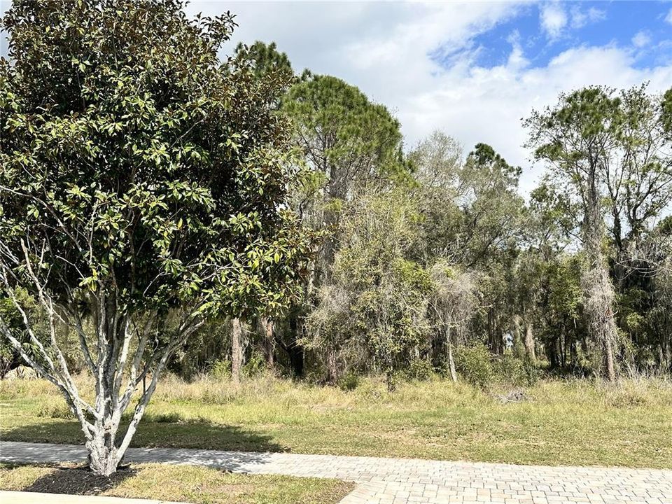 For Sale: $1,350,000 (1.26 acres)