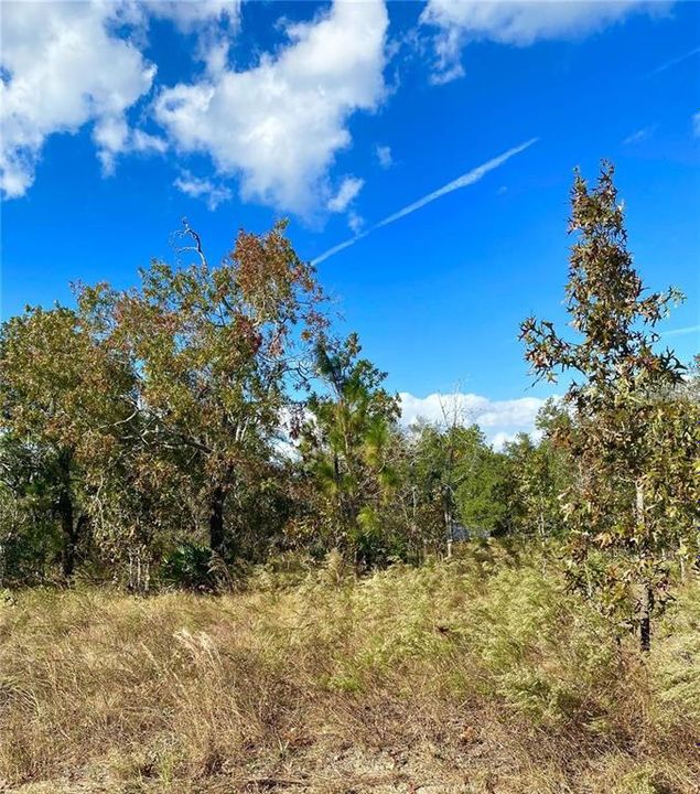 待售: $42,000 (0.46 acres)