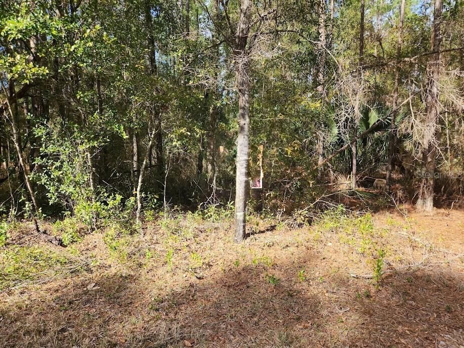 Недавно продано: $16,900 (0.24 acres)