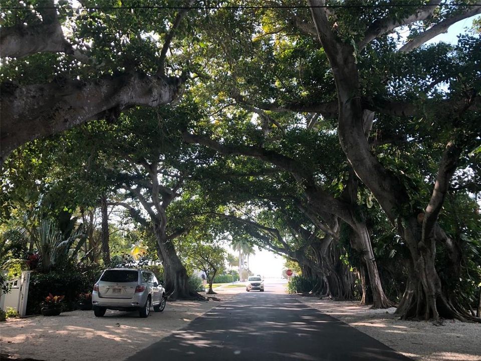 На продажу: $3,965,000 (4 спален, 3 ванн, 3487 Квадратных фут)