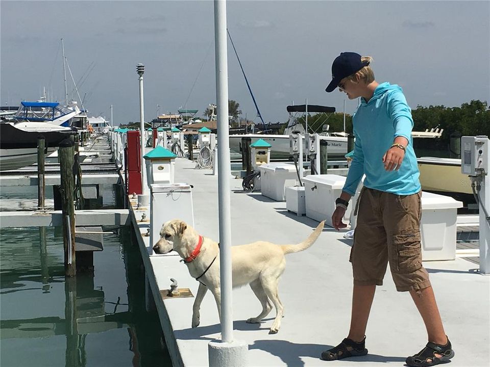 На продажу: $3,965,000 (4 спален, 3 ванн, 3487 Квадратных фут)