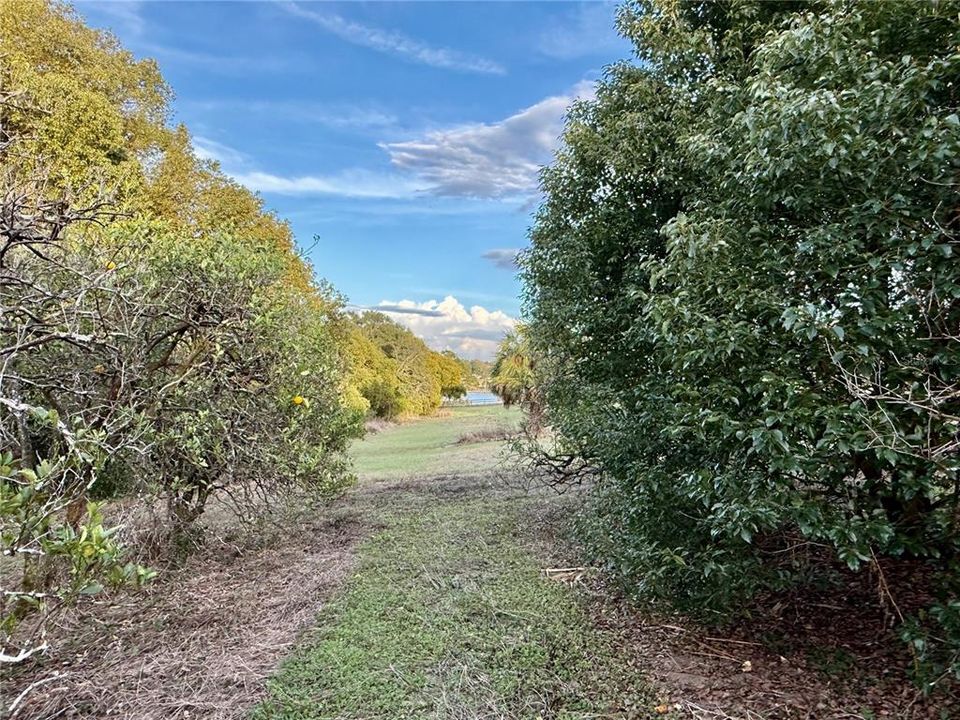 待售: $139,000 (2.92 acres)