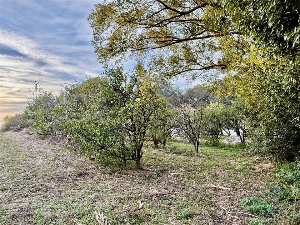 待售: $139,000 (2.92 acres)