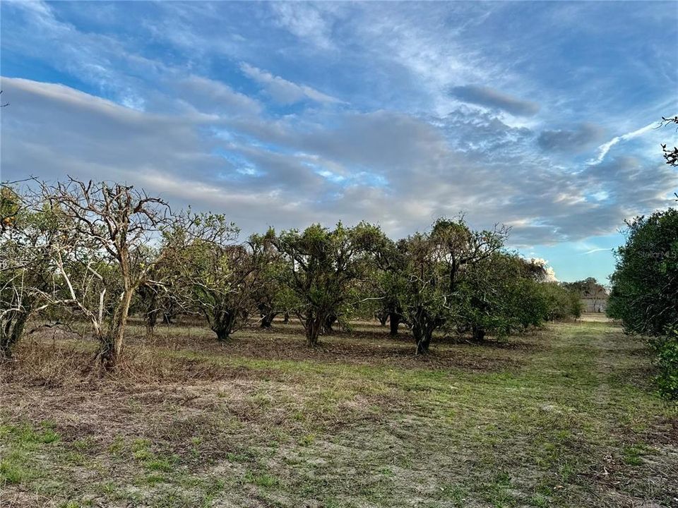 待售: $139,000 (2.92 acres)