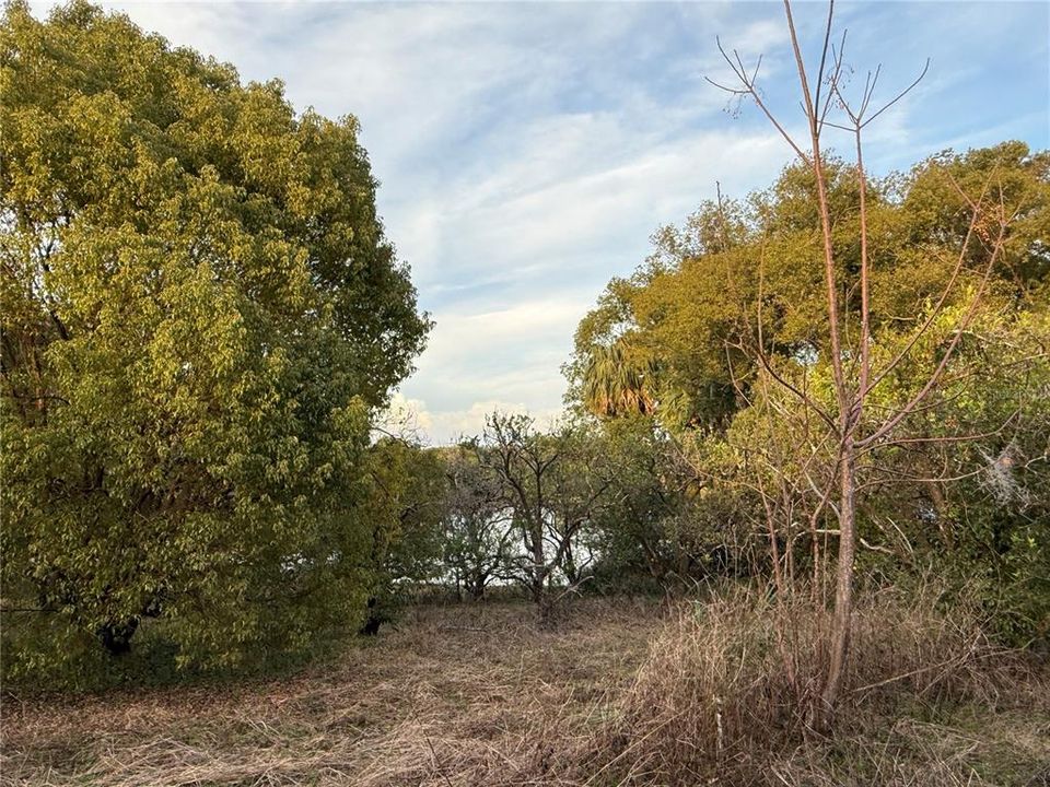 待售: $139,000 (2.92 acres)