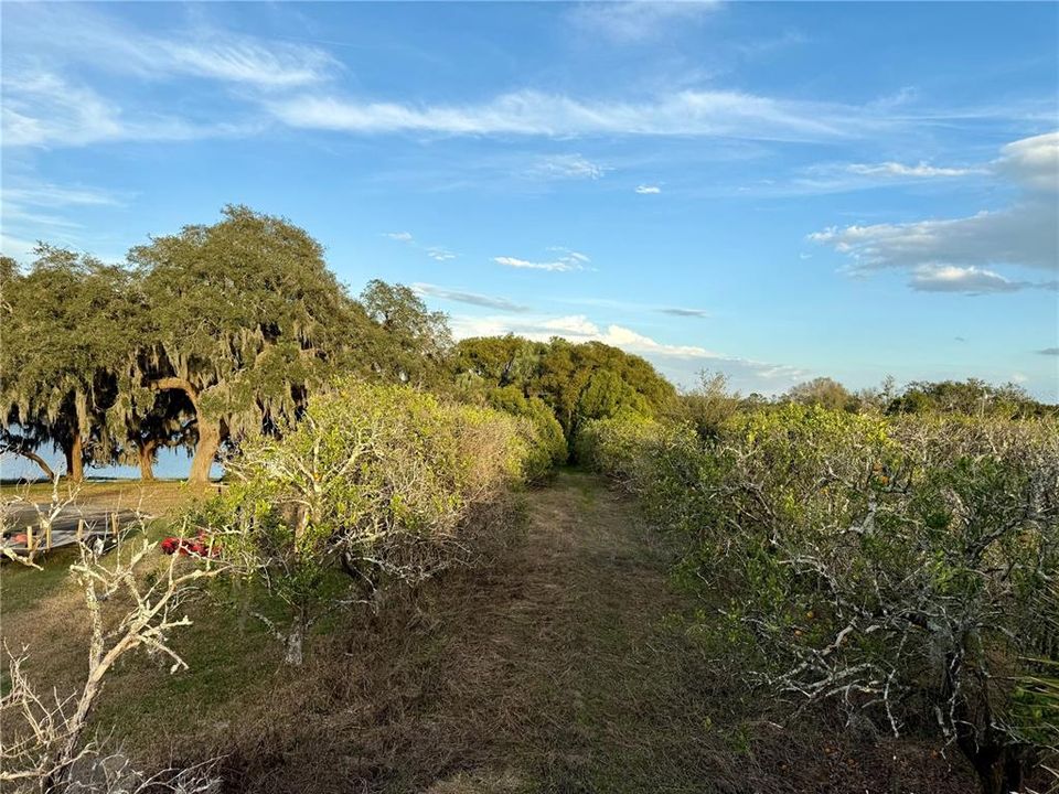 待售: $139,000 (2.92 acres)