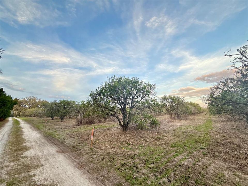 For Sale: $129,000 (2.84 acres)