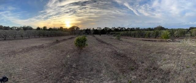 For Sale: $129,000 (2.84 acres)