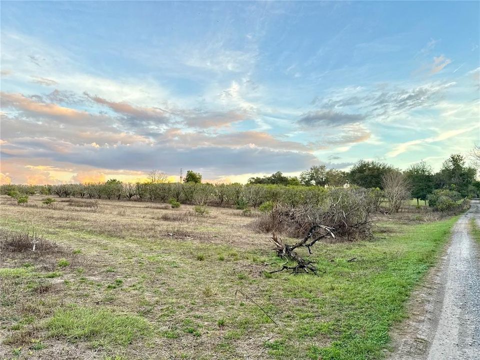For Sale: $129,000 (2.84 acres)