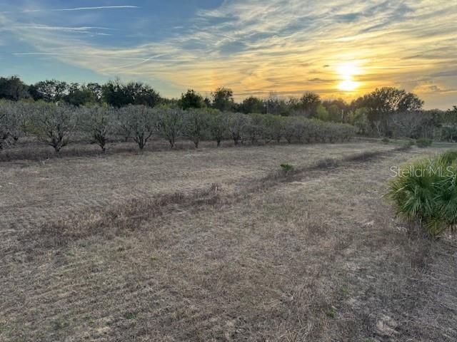 For Sale: $129,000 (2.84 acres)