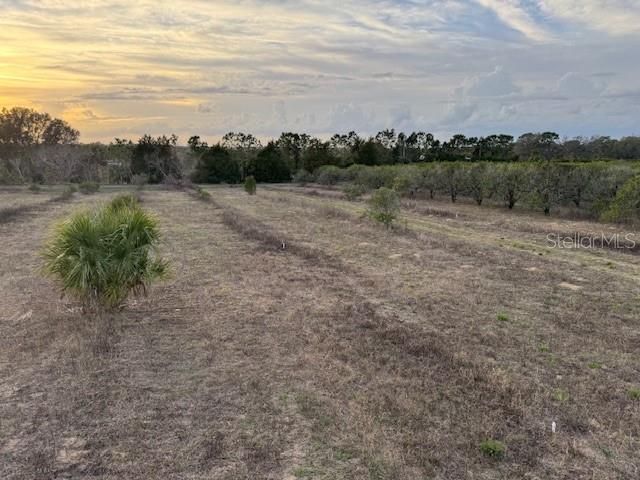 For Sale: $129,000 (2.84 acres)