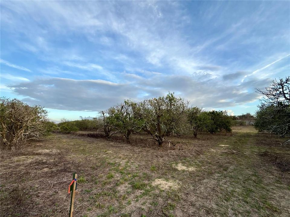 For Sale: $129,000 (2.92 acres)