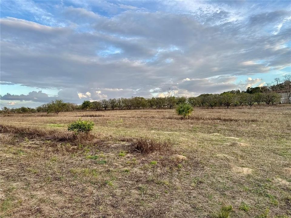 For Sale: $129,000 (2.92 acres)