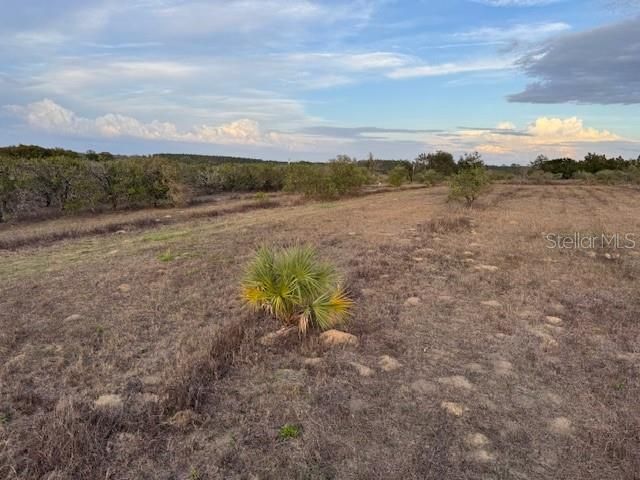 For Sale: $129,000 (2.92 acres)